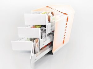 BLUM83~4